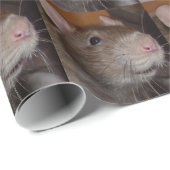 Papier voor lachratten (Rol Hoek)