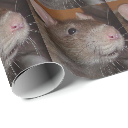 Papier voor lachratten (Rol Hoek)