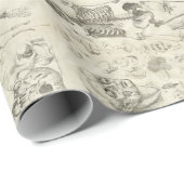  papier voor medische illustraties (Rol Hoek)