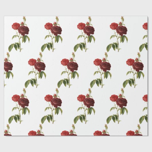 Papier voor onmiddellijke verpakking, 30 x 6' HAPP (Vlak)