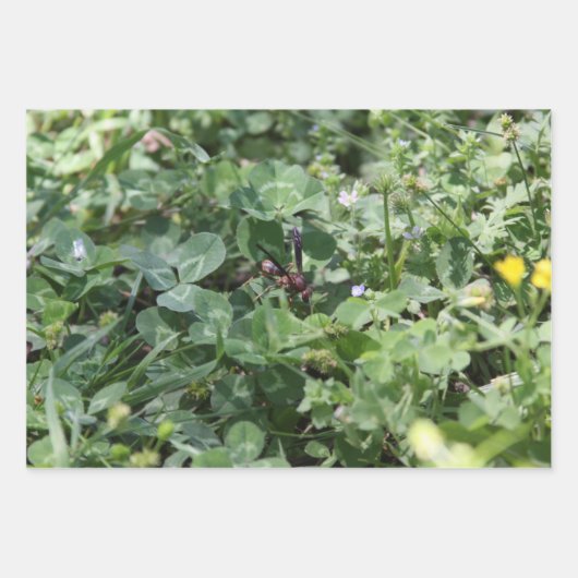 Papier voor onmiddellijke verpakking inpakpapier vel (Voorkant 3)