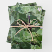 Papier voor onmiddellijke verpakking inpakpapier vel (In situ)