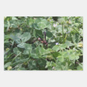 Papier voor onmiddellijke verpakking inpakpapier vel (Voorkant)