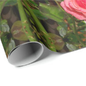 Papier voor onmiddellijke verpakking met roze roze (Rol Hoek)