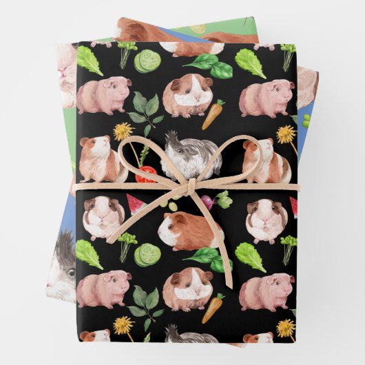 Papier voor onmiddellijke verpakking van cavia's R Inpakpapier Vel (In situ)