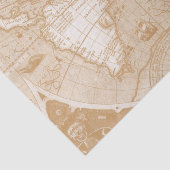Papier voor oude Wereldkaart (Detail)