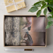 Papier voor paarden (Geschenk)