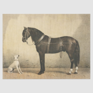 papier voor paarden en honden of lospapier