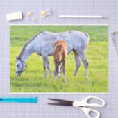 Papier voor paardenfokkerij (Craft)