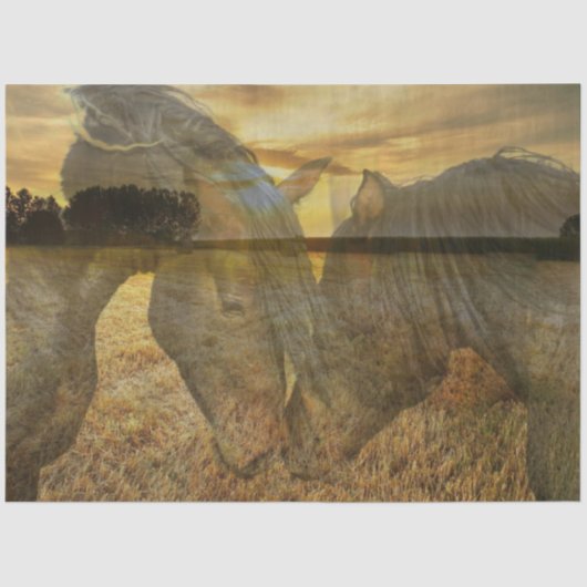 Papier voor paardenweefsel (Voorkant)