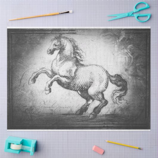 papier voor paardenweefsel of ontkoppelpapier (Craft)