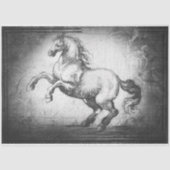  papier voor paardenweefsel of ontkoppelpapier (Voorkant)