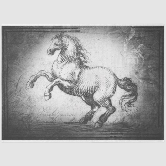  papier voor paardenweefsel of ontkoppelpapier (Voorkant)