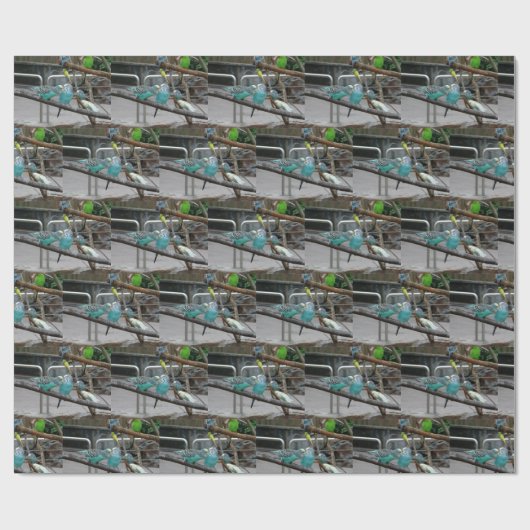 Papier voor parkiet (Vlak)