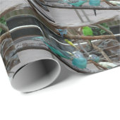 Papier voor parkiet (Rol Hoek)