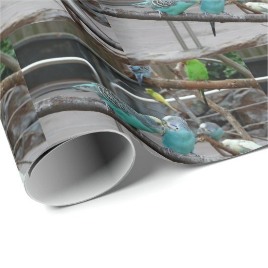 Papier voor parkiet (Rol Hoek)