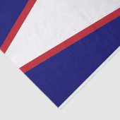 Papier voor patriottisch weefsel met vlag van Amer (Detail)