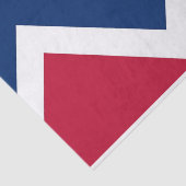 Papier voor patriottisch weefsel met vlag van Denv (Detail)