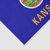 Papier voor patriottisch weefsel met vlag van Kans (Detail)