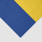 Papier voor patriottisch weefsel met vlag van Roem (Detail)