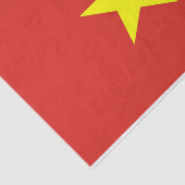 Papier voor patriottisch weefsel met vlag van Viet (Detail)