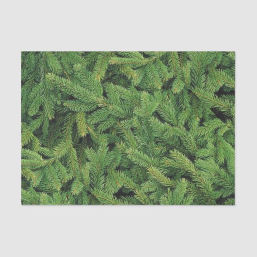 Papier voor pinetenweefsel (Voorkant)