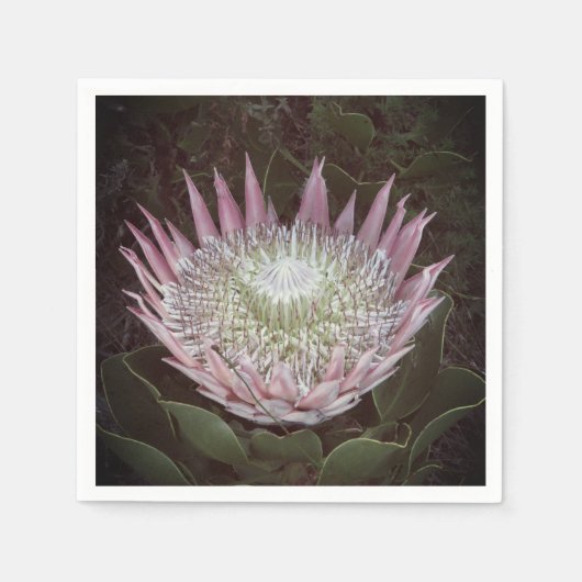 Papier voor protheetdruk servetten (Voorkant)