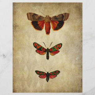 papier voor rode motenscrapbook