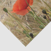 papier voor rode zomerbloem (Detail)