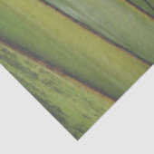 Papier voor rondreispalm (Detail)