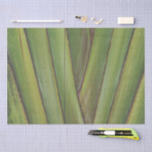 Papier voor rondreispalm (Craft)