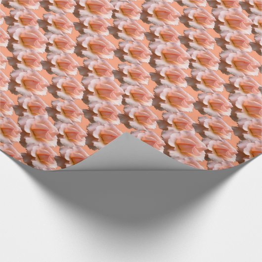 Papier voor Roos met perkamentkarton, roomachtig R (Hoek)