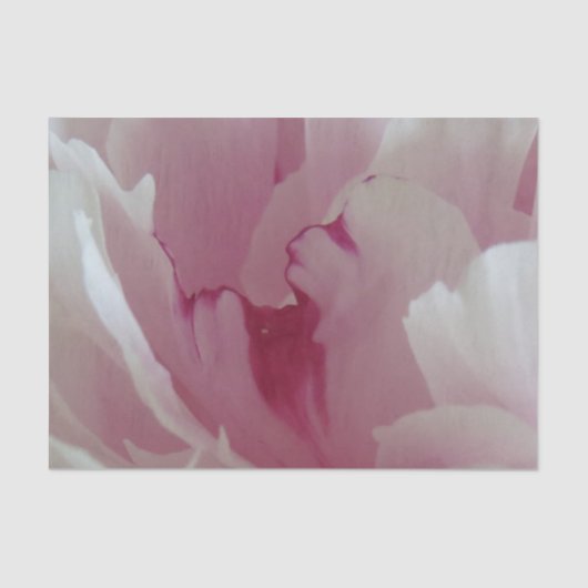 Papier voor roze bloesem (Voorkant)