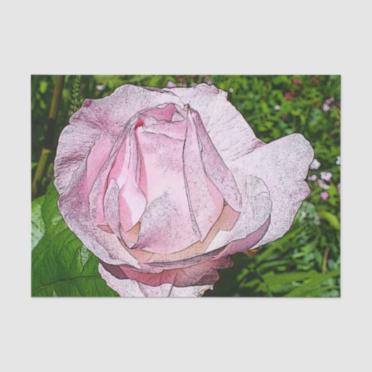 Papier voor roze rozenweefsel (Voorkant)