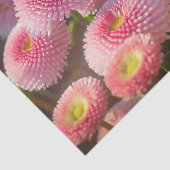 Papier voor roze vetwervel (Detail)