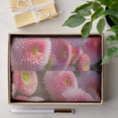 Papier voor roze vetwervel (Geschenk)