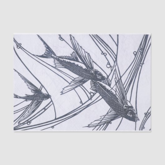 Papier voor vliegend visweefsel (Voorkant)