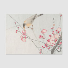 Papier voor vogelweefsel