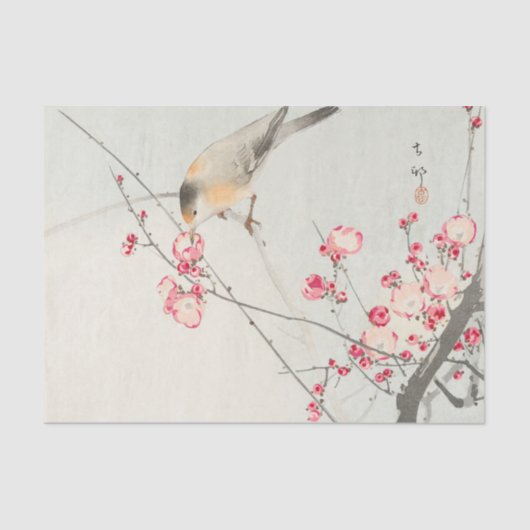 Papier voor vogelweefsel (Voorkant)