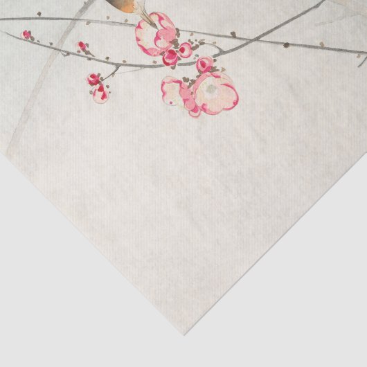 Papier voor vogelweefsel (Detail)