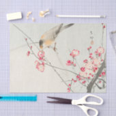 Papier voor vogelweefsel (Craft)