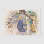  papier voor weefsel- of ontvlechtingsdoeleinden (Voorkant)