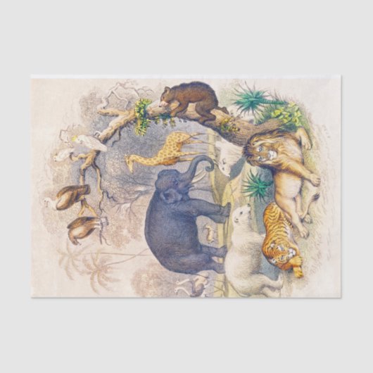 papier voor weefsel- of ontvlechtingsdoeleinden (Voorkant)