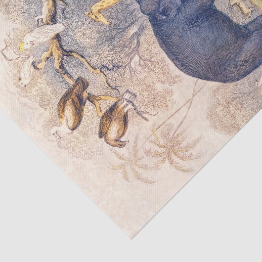 papier voor weefsel- of ontvlechtingsdoeleinden (Detail)