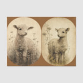  papier voor weefsel van lammeren (Voorkant)