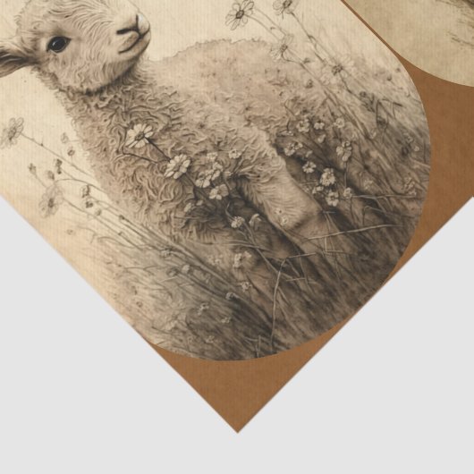  papier voor weefsel van lammeren (Detail)