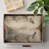 papier voor weefsel van lammeren (Geschenk)