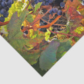  papier voor wijndruiven voor wijnbouw (Detail)