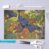  papier voor wijndruiven voor wijnbouw (Craft)