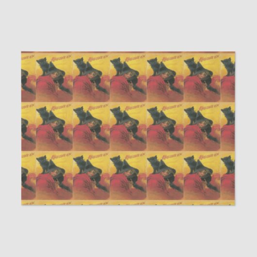 papier voor wittessie en zwart kattenpapier (Voorkant)